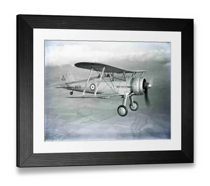 : he Gloster Gladiator (or Gloster SS. 37) was a British-built biplane fighter, used by the Royal Air Force (RAF) and the Royal Navy as well as a number of other air forces during the late 1930s. It was the RAFs last biplane fighter aircraft and wa : he Gloster Gladiator (or Gloster SS. 37) was a British-built biplane fighter, used by the Royal Air Force (RAF) and the Royal Navy as well as a number of other air forces during the late 1930s. It was the RAFs last biplane fighter aircraft and wa