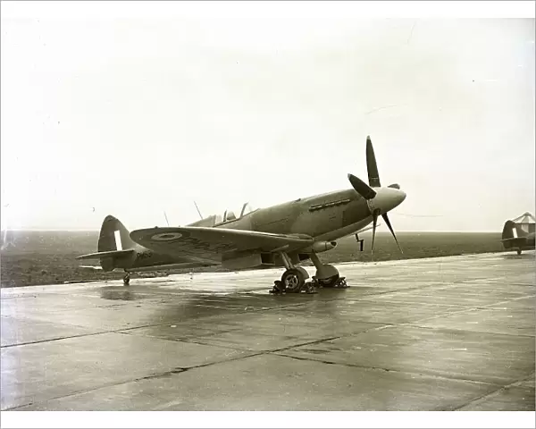 pitfire XIX aircraft, 1950 s