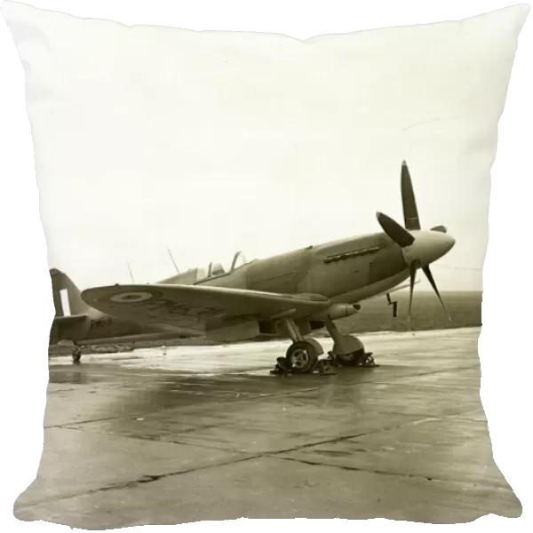 pitfire XIX aircraft, 1950 s