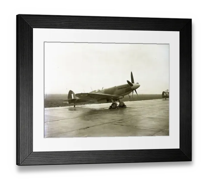 : pitfire XIX aircraft, 1950 s : pitfire XIX aircraft, 1950 s