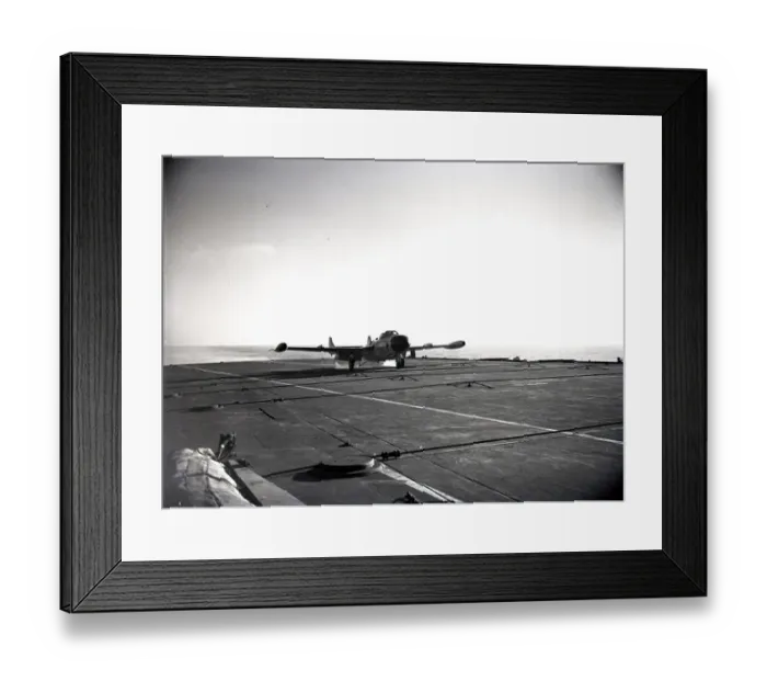 : he Sea Venom saw much service during its time with the Royal Navy. In 1956, they, alongside RAF Venoms, took part in the Suez War, 1950 s : he Sea Venom saw much service during its time with the Royal Navy. In 1956, they, alongside RAF Venoms, took part in the Suez War, 1950 s