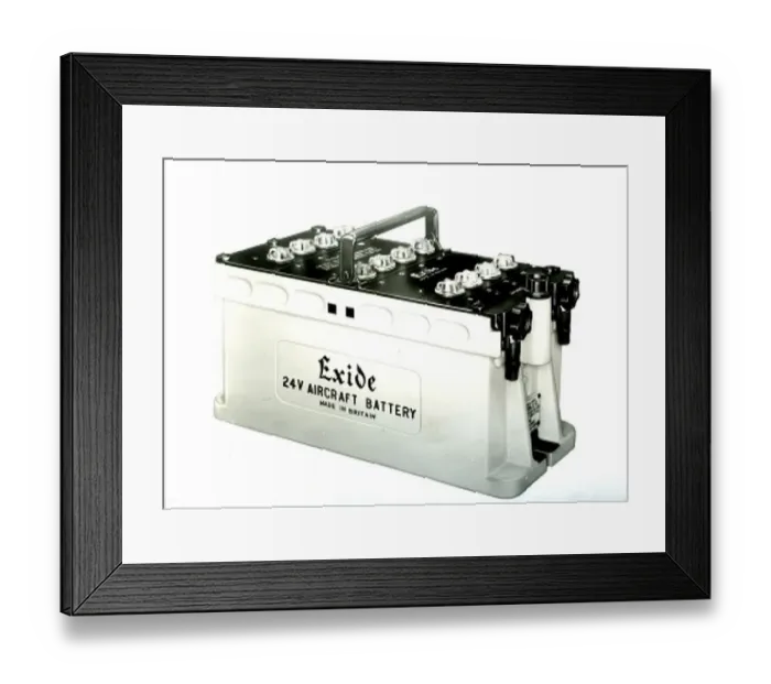 : Exide 24 Volt battery : Exide 24 Volt battery