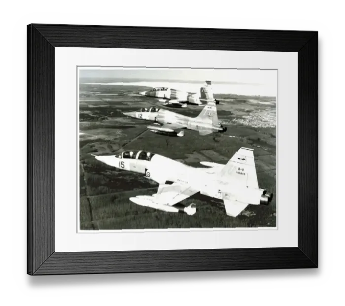 : Formation of CF-5D freedom fighter aircraft from 419 Tactical Fighter Training Squadron Canada : Formation of CF-5D freedom fighter aircraft from 419 Tactical Fighter Training Squadron Canada