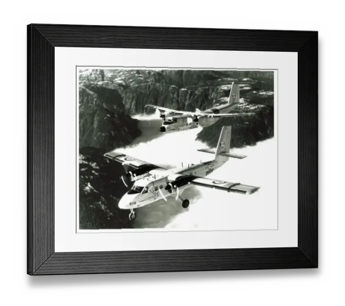 : CC 138 Twin Otter plane with CC-115 Buffalo Canadian air Force : CC 138 Twin Otter plane with CC-115 Buffalo Canadian air Force