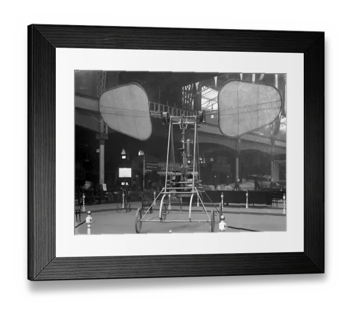 Framed Print : The de la Hault Orthopter Framed Print : The de la Hault Orthopter