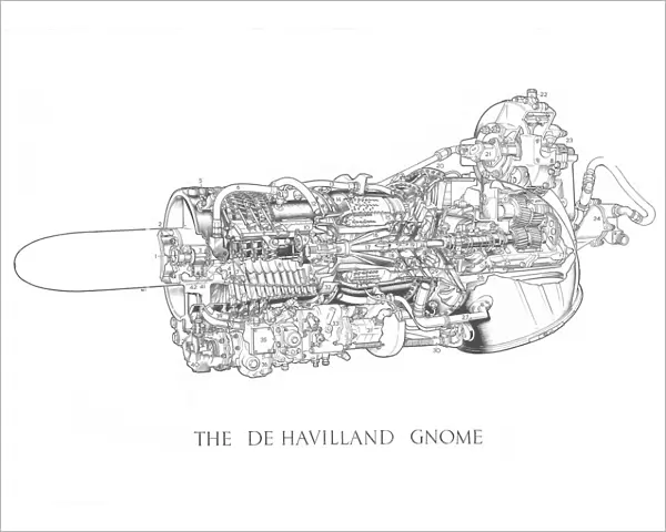 De Havilland Gnome Cutaway Drawing