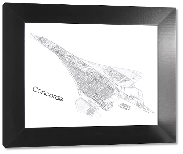 Concorde First Cutaway Drawing