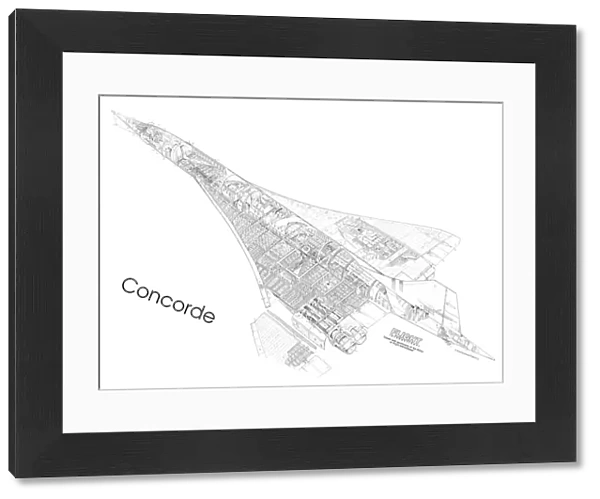 Concorde First Cutaway Drawing