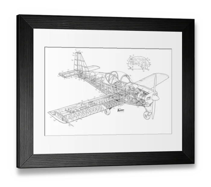 Framed Print : Mitchell Proctor kittiwake Cutaway Drawing Framed Print : Mitchell Proctor kittiwake Cutaway Drawing