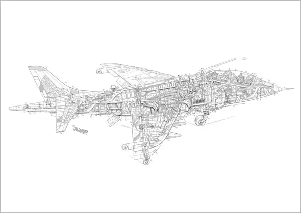 Hawker Siddeley Harrier 2-seat T2 Cutaway Drawing