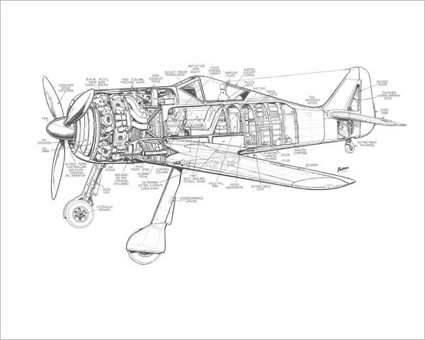 Focke-wulf FW 190A Cutaway Drawing