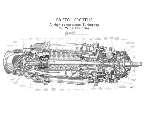 Bristol Proteus Cutaway Drawing