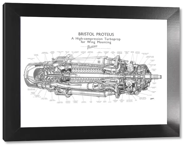 Bristol Proteus Cutaway Drawing