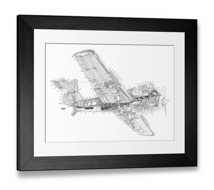Framed Print : Short Seamew Cutaway Drawing Framed Print : Short Seamew Cutaway Drawing