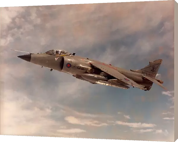 BAE Sea Harrier