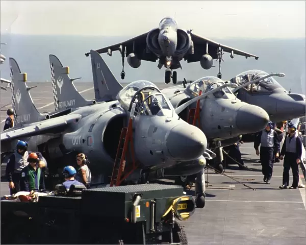 Sea Harriers & GR7 s