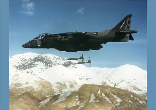 BAE Sea Harrier, 0015