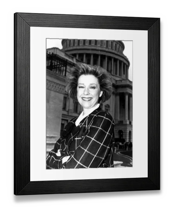 Framed Print : Gulfstream Vice President Framed Print : Gulfstream Vice President