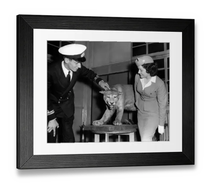 Framed Print : I Hate Travelling Framed Print : I Hate Travelling