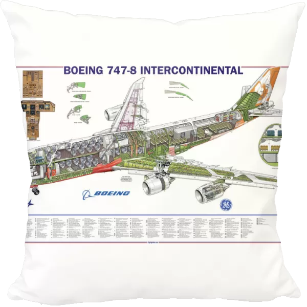 Boeing 747-8 Cutaway