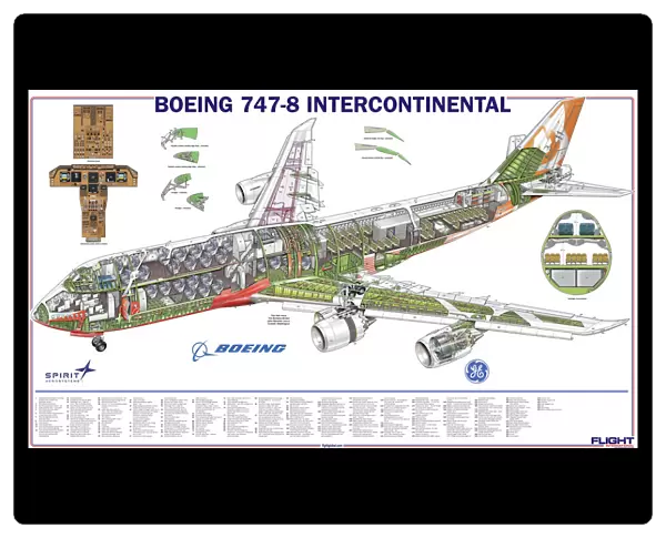 Boeing 747-8 Cutaway