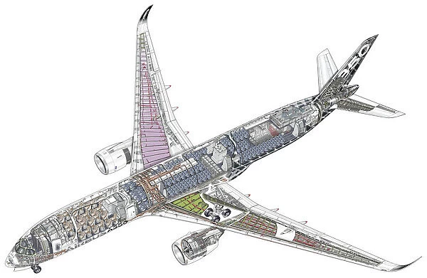 Airbus A350-900 Cutaway