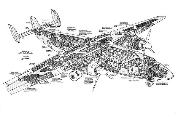 Airspeed Ambassador Cutaway