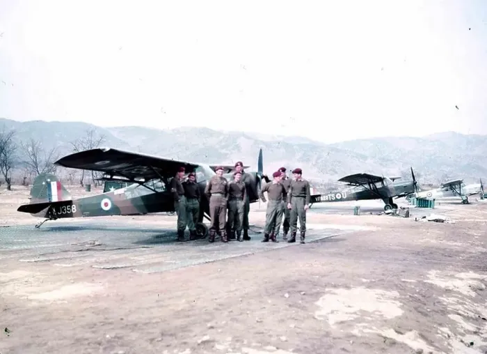 : he Auster AOP6 was designed as a successor to the Taylorcraft Auster V, it had a strengthened fuselage, increased all-up weight and a 145 hp (108 kW) de Havilland Gipsy Major 7 engine. On an airbase in Korea during the Korean War 1953 : he Auster AOP6 was designed as a successor to the Taylorcraft Auster V, it had a strengthened fuselage, increased all-up weight and a 145 hp (108 kW) de Havilland Gipsy Major 7 engine. On an airbase in Korea during the Korean War 1953