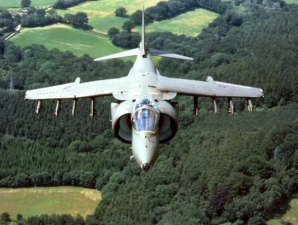 BAe Harrier GR5 (c) Flight. The Flight Collection