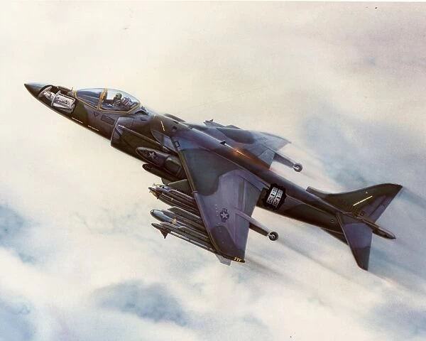 BAE Sea Harrier, 0038