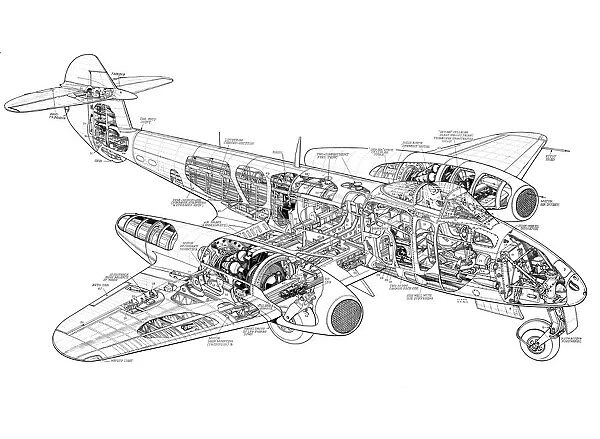 Gloster Meteor Mk IV Cutaway Drawing (Photos Posters, Cards, Prints ...