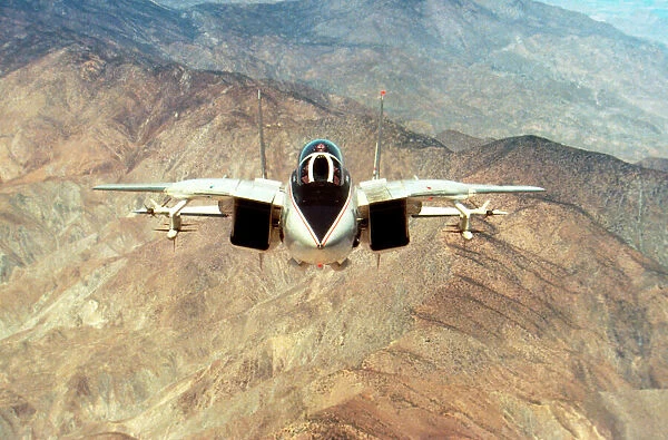 Grumman F14 Tomcat. The Flight Collection