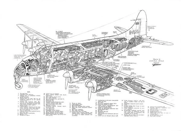 De Havilland DH114 Heron Cutaway Poster