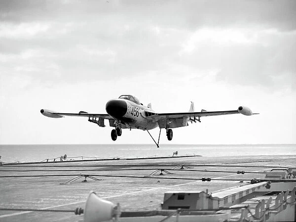 De Havilland Sea Venom