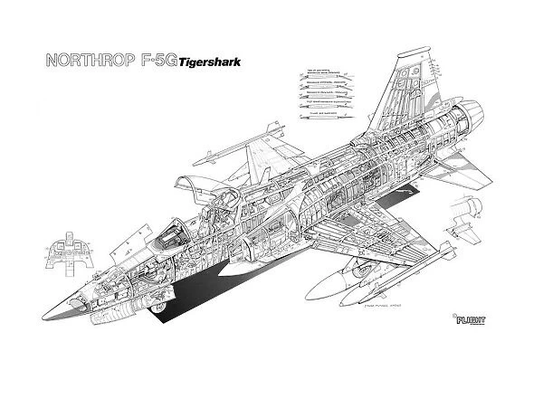 Northrop F-5G Tigershark Cutaway Drawing