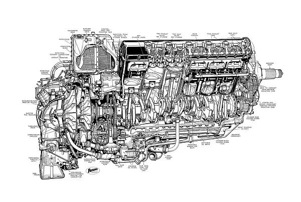 Rolls Royce Griffon Cutaway Drawing