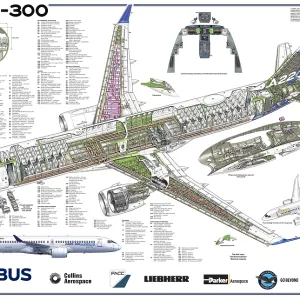 A220-300 Poster Print A220-300 Poster Print