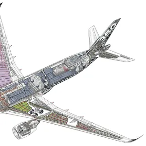 Airbus A350-900 Cutaway