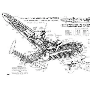 Avro 683 Lancaster Cutaway Drawing