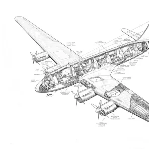 Avro 688 Tudor 1 Cutaway Drawing