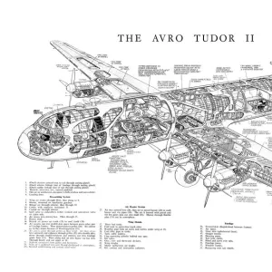 Avro 688 Tudor II Cutaway Poster