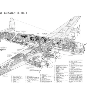 Avro 694 Lincoln Cutaway Poster