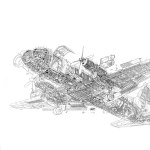 Avro 748 Cutaway Cutaway Drawing