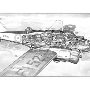 Avro Anson Cutaway Drawing