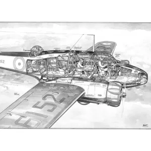 Avro Anson Cutaway Drawing