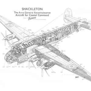 Avro Shackleton Mk1 Cutaway Drawing Print Avro Shackleton Mk1 Cutaway Drawing Print