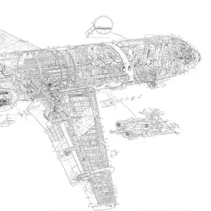 BAC One eleven Cutaway Drawing