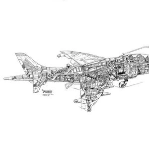 BAe Harrier T2 Cutaway Drawing