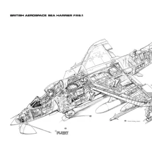 BAe Sea Harrier FRS1 Cutaway Drawing