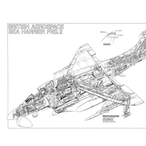 BAe Sea Harrier FRS2 Cutaway Poster